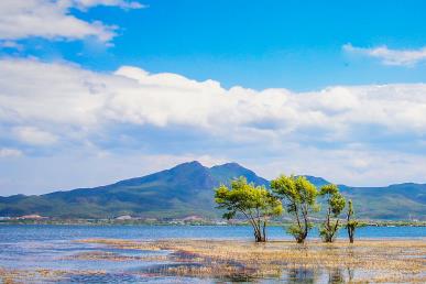 【純玩麗大香5天純玩】<洱海 南詔風(fēng)情島 航拍+旅拍 大理古城 玉龍雪山 藍(lán)月谷 麗江古城 虎跳峽>